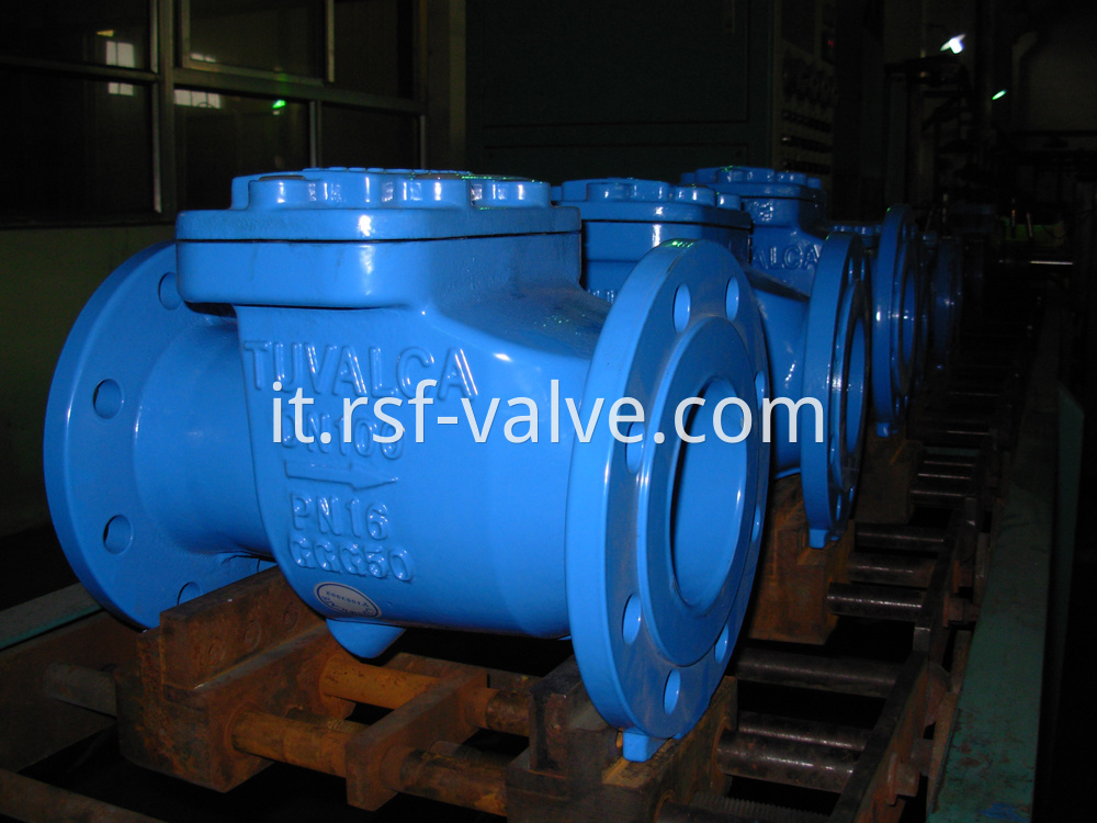 Rubber Capsuled Disc Swing Check Valve 1